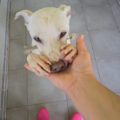 PHOTO-2025-12-31-08-27-46 8