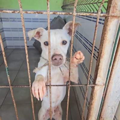 PHOTO-2025-12-31-08-27-46 9