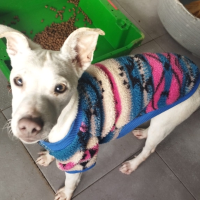 PHOTO-2025-12-31-08-27-47 2