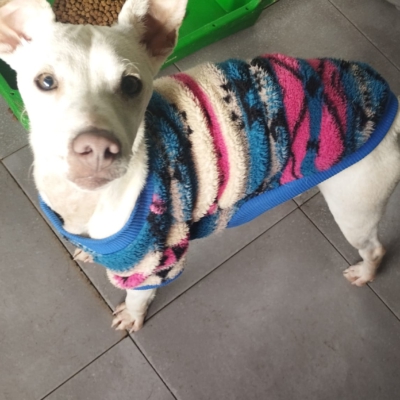 PHOTO-2025-12-31-08-27-47 3