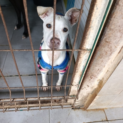 PHOTO-2025-12-31-08-27-47 4