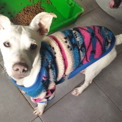 PHOTO-2025-12-31-08-27-47