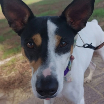 PHOTO-2025-12-31-08-42-33 2