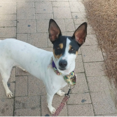 PHOTO-2025-12-31-08-42-34 2