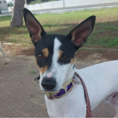 PHOTO-2025-12-31-08-42-34 3