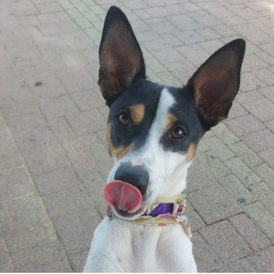 PHOTO-2025-12-31-08-42-34 4