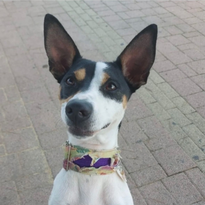 PHOTO-2025-12-31-08-42-34