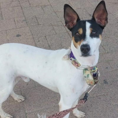 PHOTO-2025-12-31-08-42-34 5