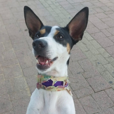 PHOTO-2025-12-31-08-42-34 6