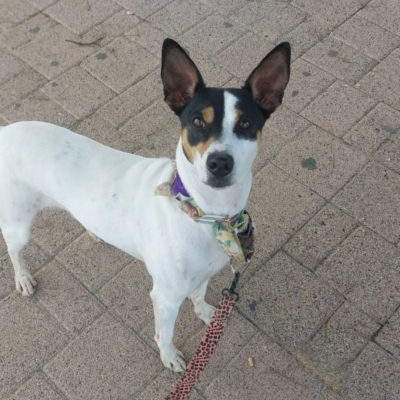 PHOTO-2025-12-31-08-42-34 7