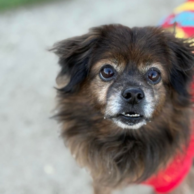 PHOTO-2025-12-31-12-25-30 2