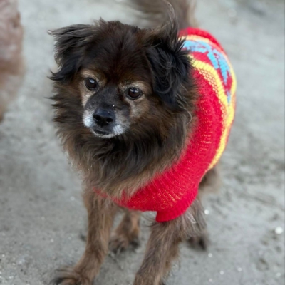 PHOTO-2025-12-31-12-25-31 2