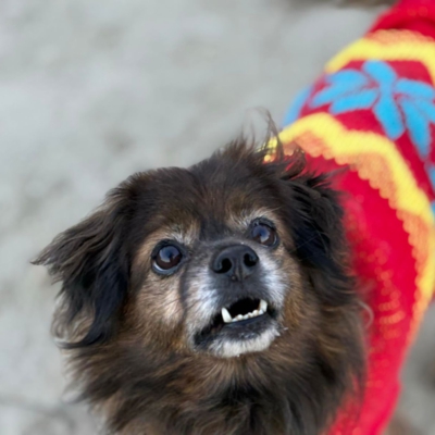 PHOTO-2025-12-31-12-25-31 3