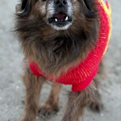 PHOTO-2025-12-31-12-25-31 4