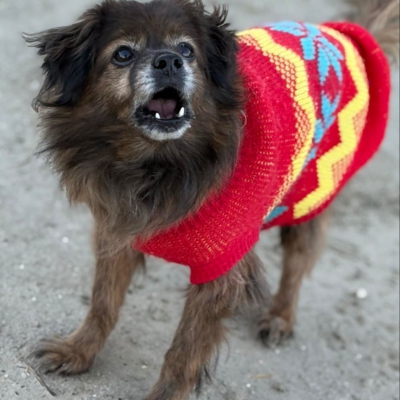 PHOTO-2025-12-31-12-25-31