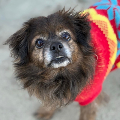 PHOTO-2025-12-31-12-25-31 5