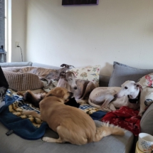 PHOTO-2025-12-31-13-01-08 2