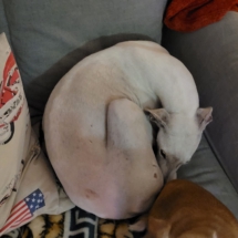 PHOTO-2025-12-31-13-01-08