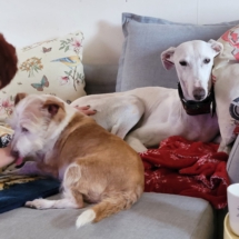 PHOTO-2025-12-31-13-01-08 3