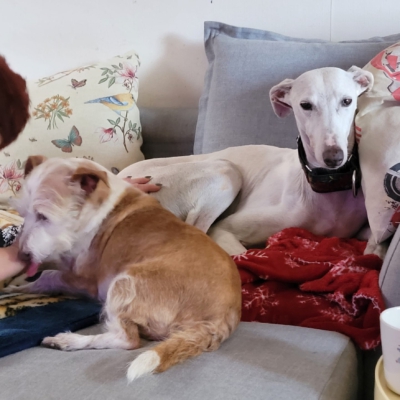 PHOTO-2025-12-31-13-01-08 3