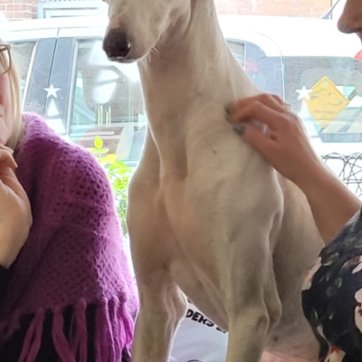 PHOTO-2025-12-31-13-01-08 4