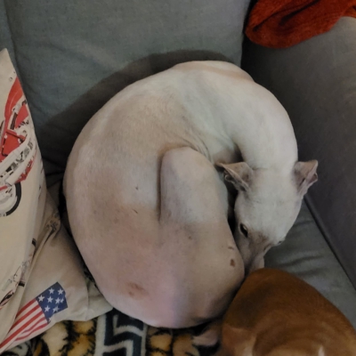 PHOTO-2025-12-31-13-01-08