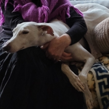 PHOTO-2025-12-31-13-01-08 5