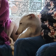 PHOTO-2025-12-31-13-01-08 6