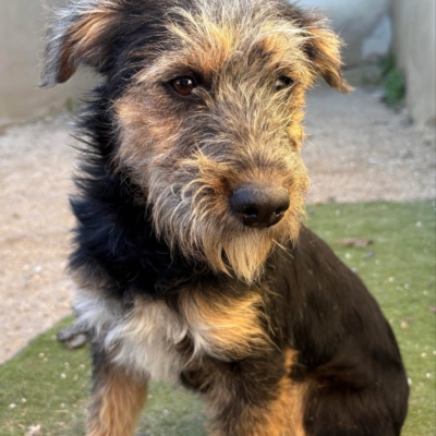 PHOTO-2025-12-31-13-23-49