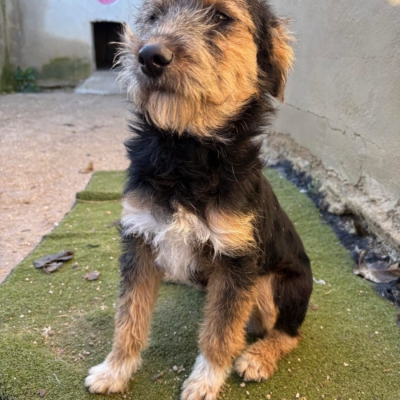 PHOTO-2025-12-31-13-23-51 2