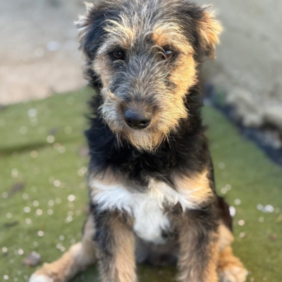 PHOTO-2025-12-31-13-23-51 3