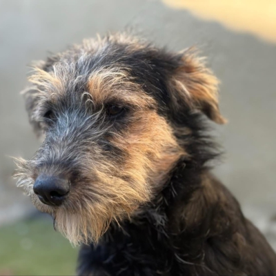 PHOTO-2025-12-31-13-23-51 4