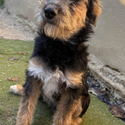 PHOTO-2025-12-31-13-23-51