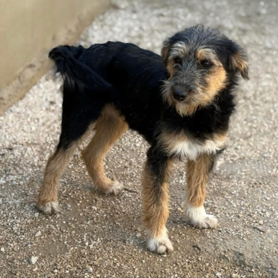 PHOTO-2025-12-31-13-23-51 5