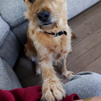 PHOTO-2026-01-07-20-05-15 2