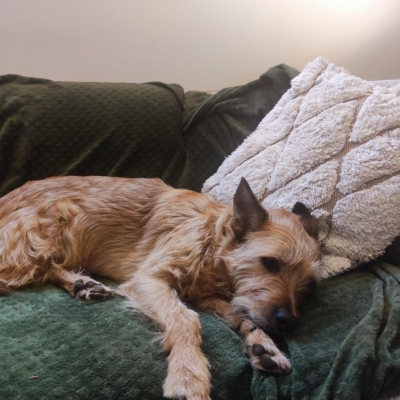 PHOTO-2026-01-07-20-05-15