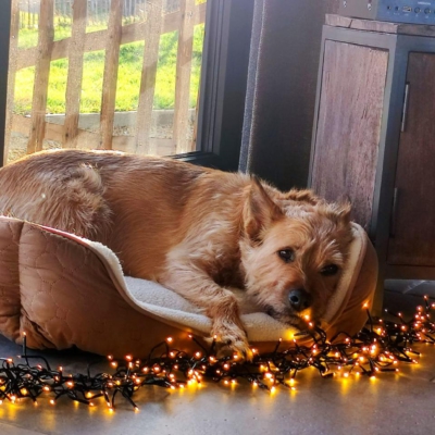 PHOTO-2026-01-07-20-05-16 2