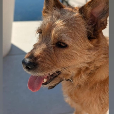 PHOTO-2026-01-07-20-05-16 3