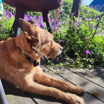 PHOTO-2026-01-07-20-05-16 4