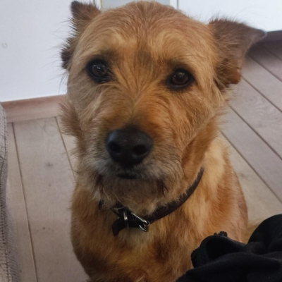 PHOTO-2026-01-07-20-05-16 5