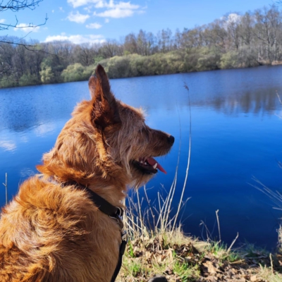 PHOTO-2026-01-07-20-05-16 6