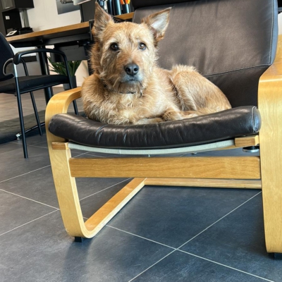 PHOTO-2026-01-07-20-05-16 7