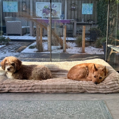 PHOTO-2026-01-07-20-06-23