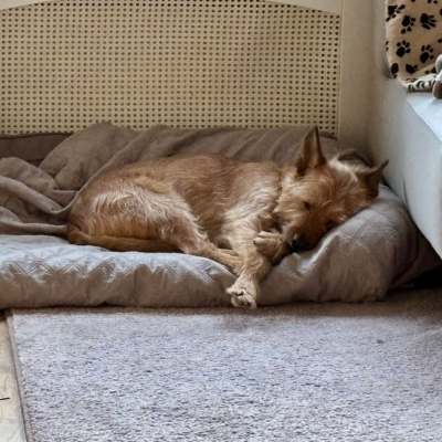 PHOTO-2026-01-07-20-06-24 2