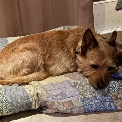 PHOTO-2026-01-07-20-06-24 3