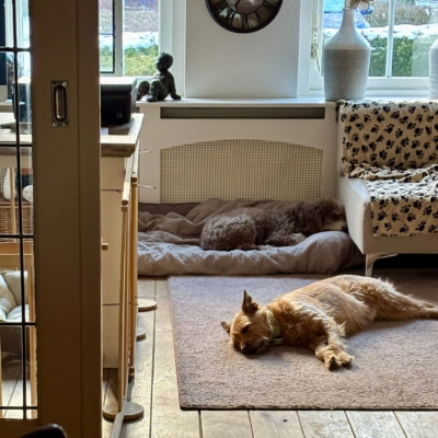 PHOTO-2026-01-07-20-06-24