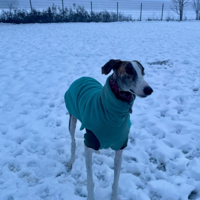 PHOTO-2026-01-08-17-24-55 10