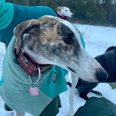 PHOTO-2026-01-08-17-24-55 12