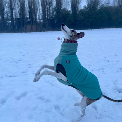 PHOTO-2026-01-08-17-24-55 2