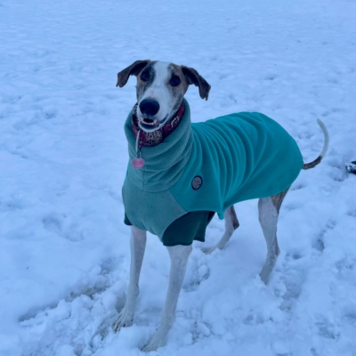 PHOTO-2026-01-08-17-24-55 3